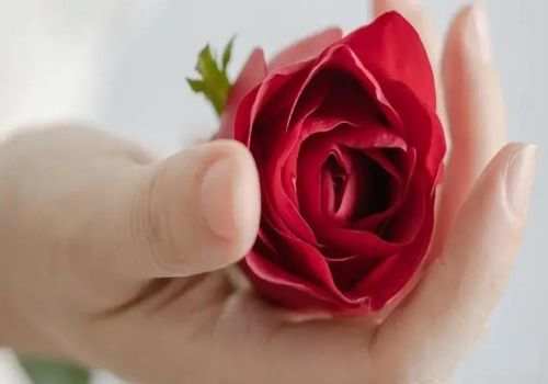 乌鲁木齐婚外情调查：一儿一女财产继承如何分配